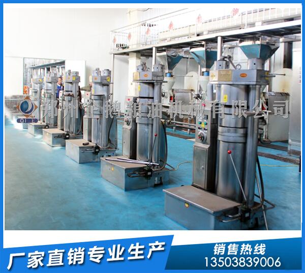 核桃油設(shè)備多少錢一套?企鵝糧油品質(zhì)爭(zhēng)勝(圖1) 核桃油設(shè)備